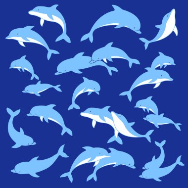 Güzel yunus illüstrasyon