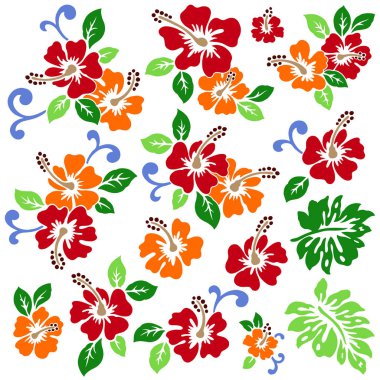 Hibiscus çiçek deseni