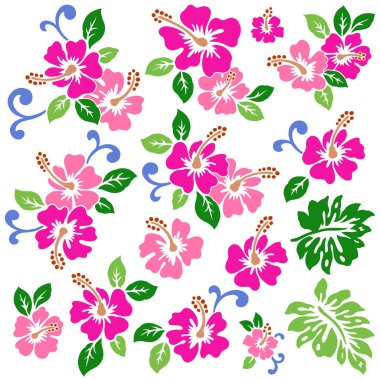 Hibiscus çiçek deseni