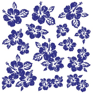 Hibiscus çiçek deseni