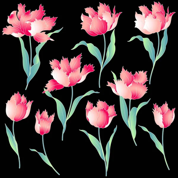 Japanse stijl tulip — Stockvector