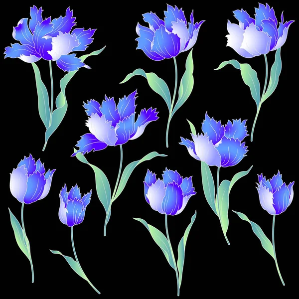 Tulipe de style japonais — Image vectorielle