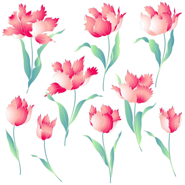 Tulipán de estilo japonés — Vector de stock