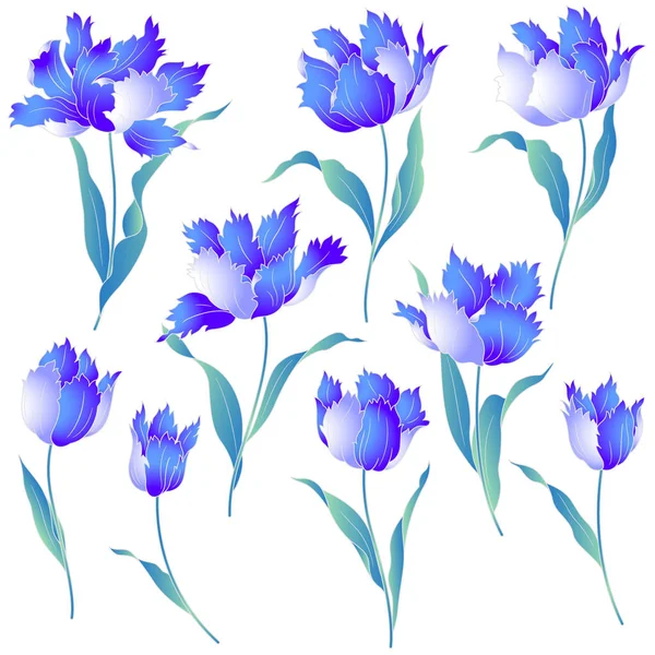 Tulipe de style japonais — Image vectorielle