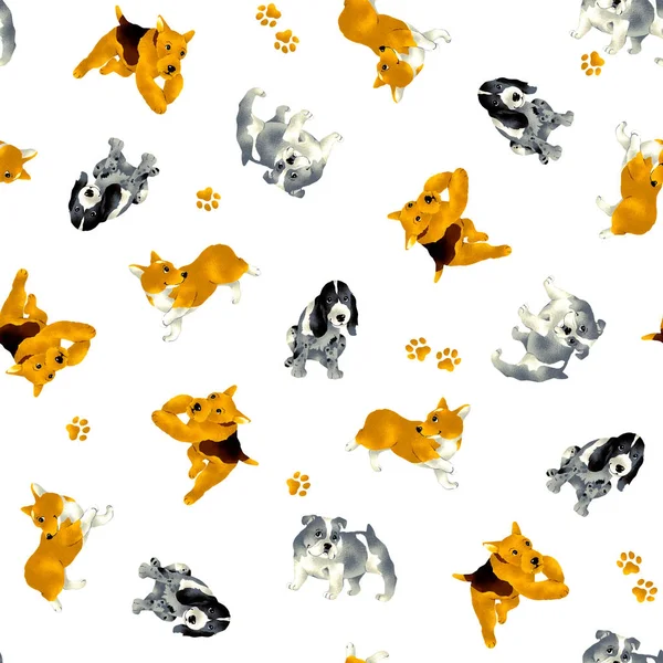 Pretty dog pattern — Stock Photo, Image