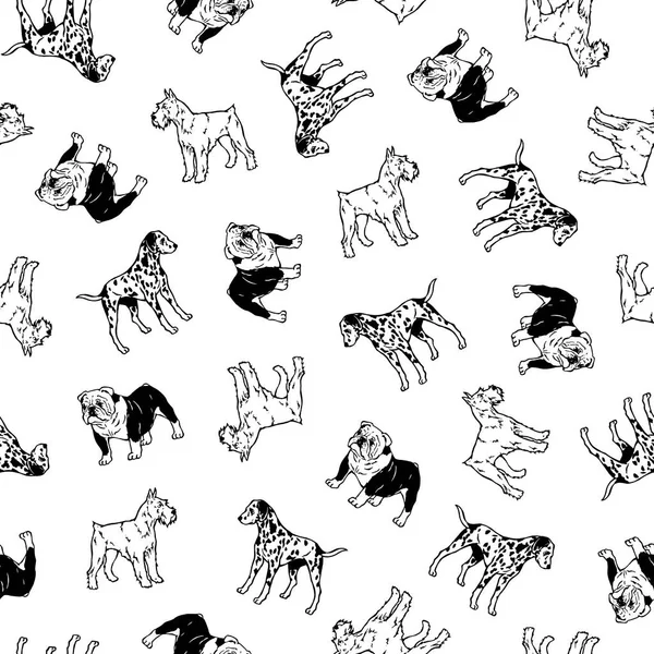 Σκύλος εικονογράφηση μοτίβο — Διανυσματικό Αρχείο