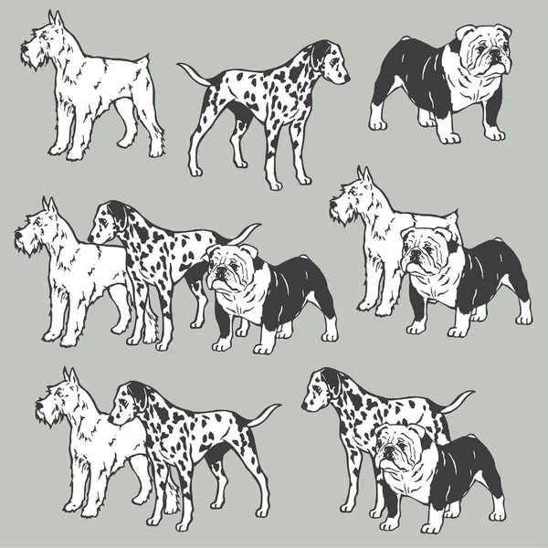 Dog illustration material — Stock Vector