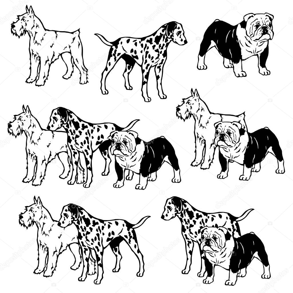 Dog illustration pattern
