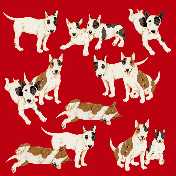 Söt hund illustration — Stockfoto
