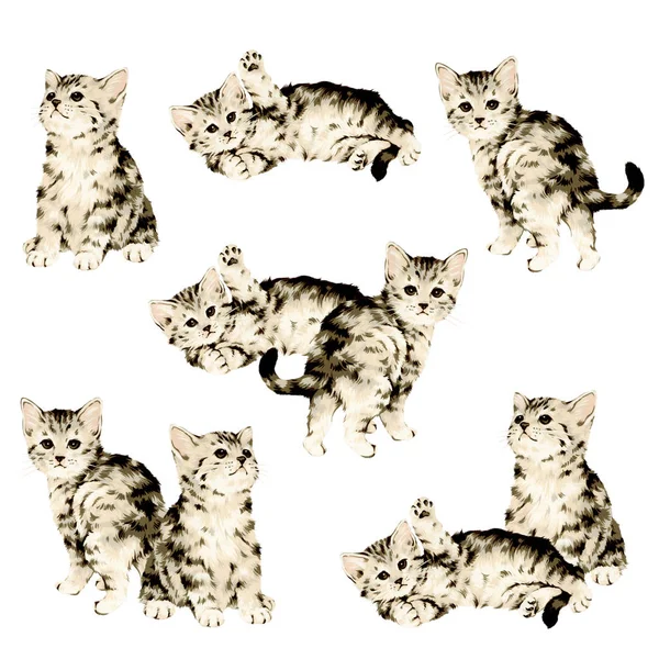 Симпатичная кошачья иллюстрация — стоковое фото