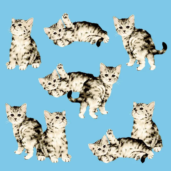 Bonito gato ilustración —  Fotos de Stock