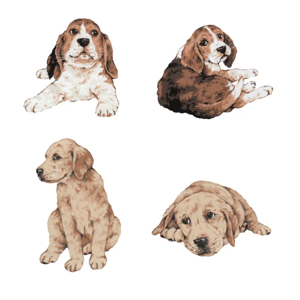 Pretty dog illustration — Stock Photo, Image