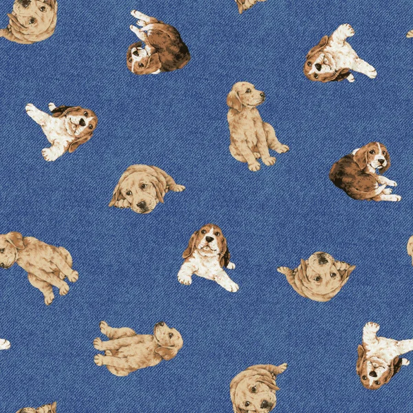 Pretty dog pattern — Stock Photo, Image