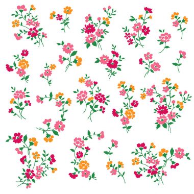 Çiçek Çizim malzeme