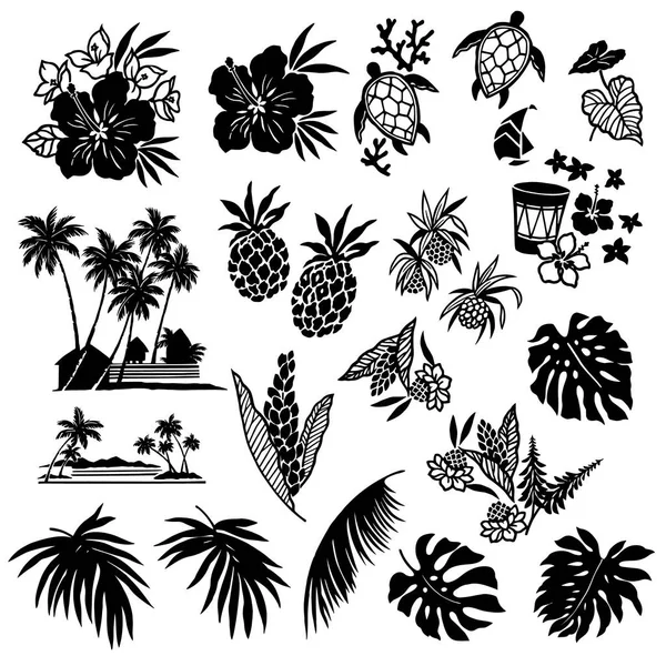 Illustratie van de Hibiscus en ananas — Stockvector