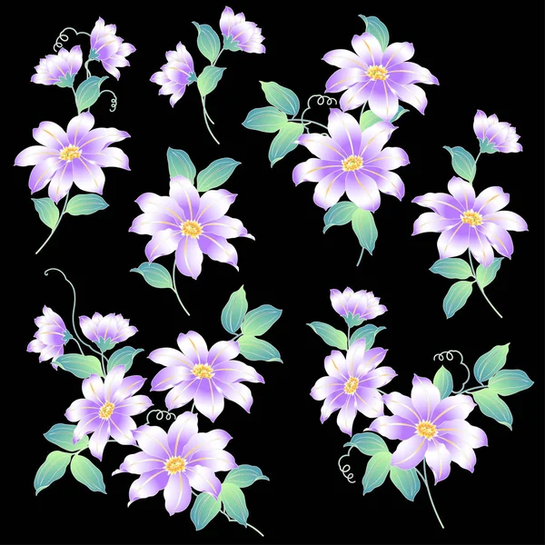 Japanse stijl Clematis, — Stockvector