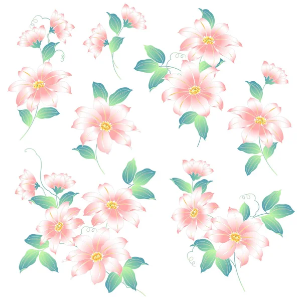 Japanese style Clematis, — Stock Vector