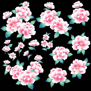 Japon tarzı Şakayık,