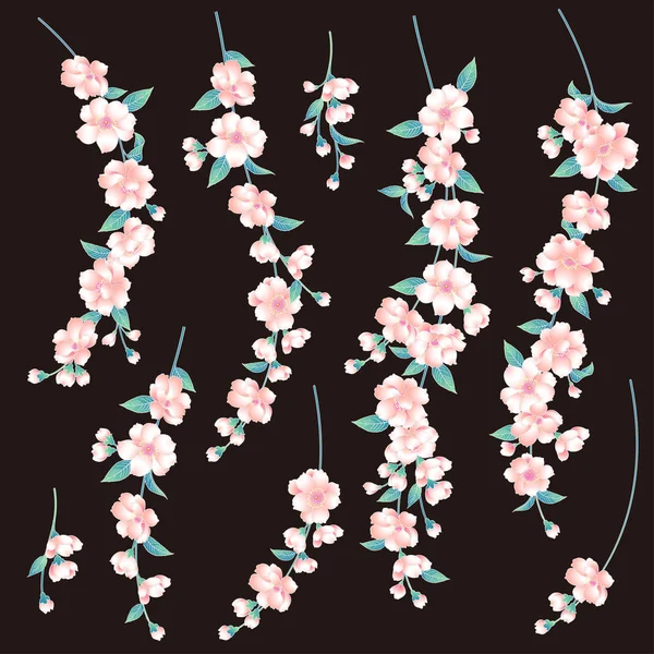 Japanese style cherry blossom illustration — Stock Vector