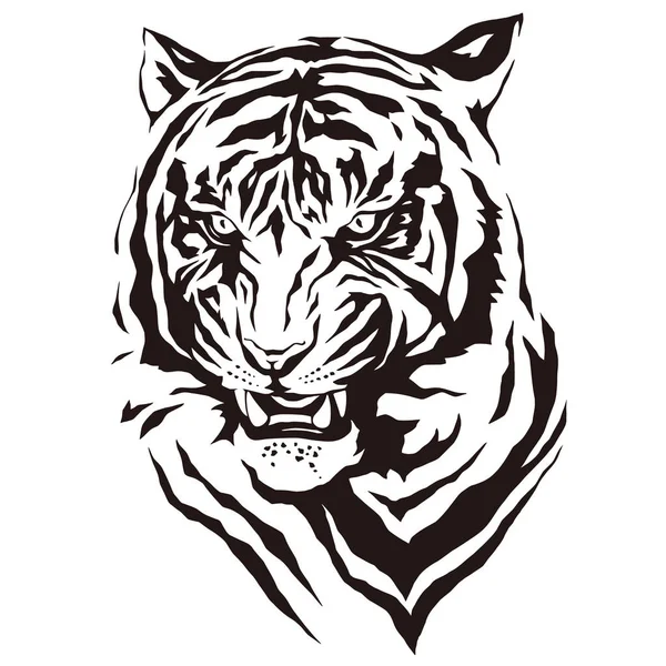 Illustratie voor tiger — Stockvector