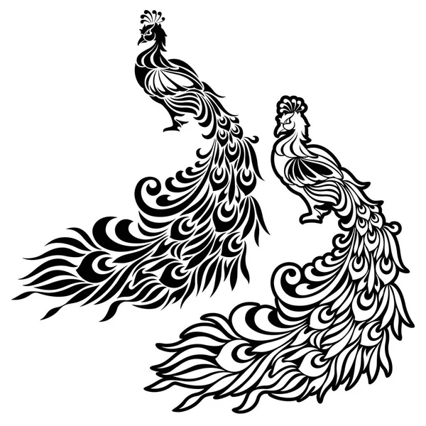Illustration of peacock, — Stock Vector