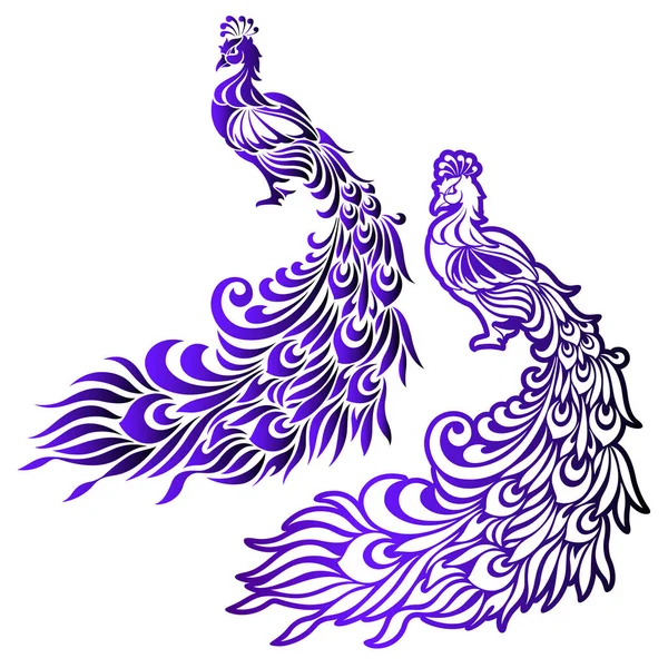 Illustratie van peacock, — Stockvector