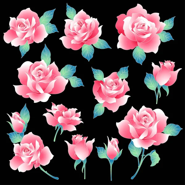 Rose Flower Illustration Made Beautiful Rose Paintingi Worked Vectors — Stock Vector