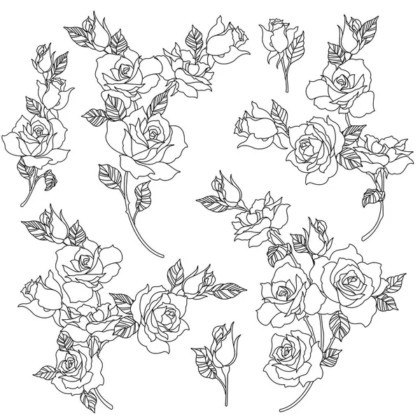 Obrázek Růže Květ Udělal Jsem Krásné Růže Paintingi Pracoval Vektory — Stockový vektor