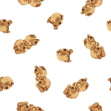 Güzel köpek desen, köpek yavrusu, çizim yaptı ki ben lovedi yazma fırçayla çizmek ve painti devam sorunsuz