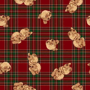 Güzel köpek desen, köpek yavrusu, çizim yaptı ki ben lovedi yazma fırçayla çizmek ve painti devam sorunsuz