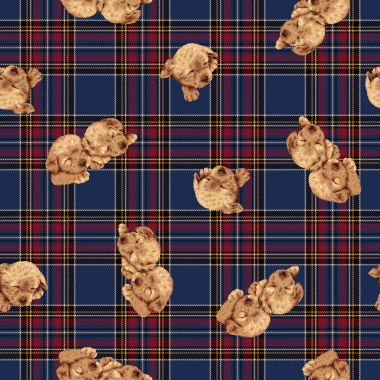 Güzel köpek desen, köpek yavrusu, çizim yaptı ki ben lovedi yazma fırçayla çizmek ve painti devam sorunsuz