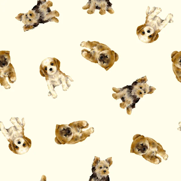 Bonito Patrón Perro Hice Ilustración Del Cachorro Que Encantólo Dibujo —  Fotos de Stock