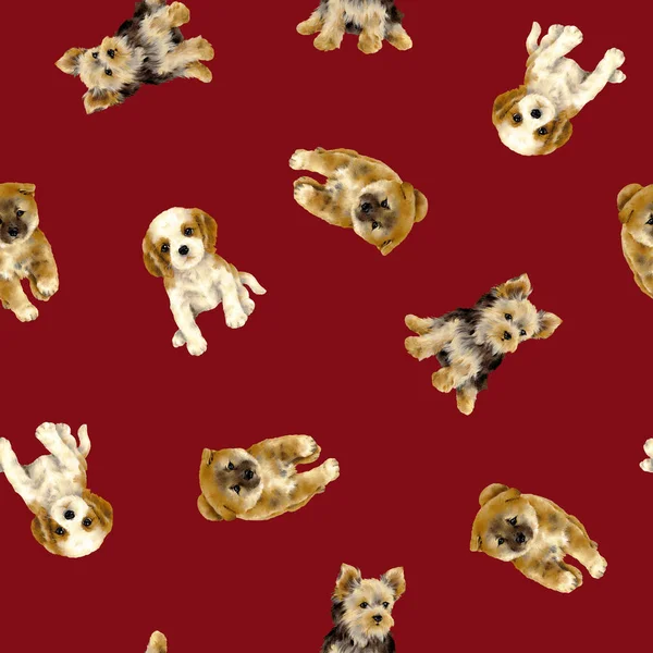 Pretty Dog Pattern Made Illustration Puppy Which Lovedi Draw Writing — Stock Photo, Image