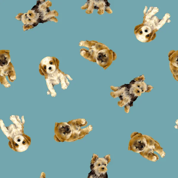 Mooie Hond Patroon Maakte Afbeelding Van Pup Die Lovedi Tekenen — Stockfoto