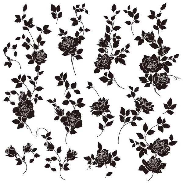 玫瑰花插图 我做了一幅美丽的玫瑰画 — 图库矢量图片