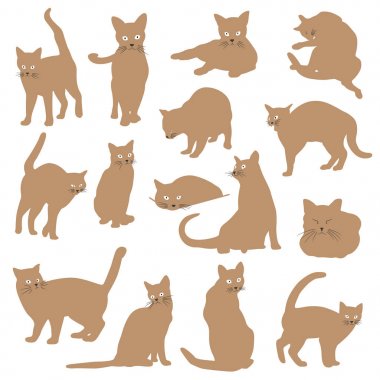 Güzel kedi illüstrasyon, güzel kedi, çizim yaptım