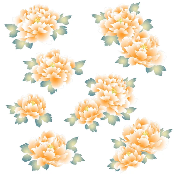 Pivoine Style Japonais Conception Une Fleur Pivoine Style Japonaisil Est — Image vectorielle