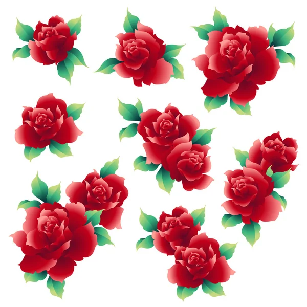 玫瑰花插图 我做了一个美丽的玫瑰画 我在媒介工作 — 图库矢量图片