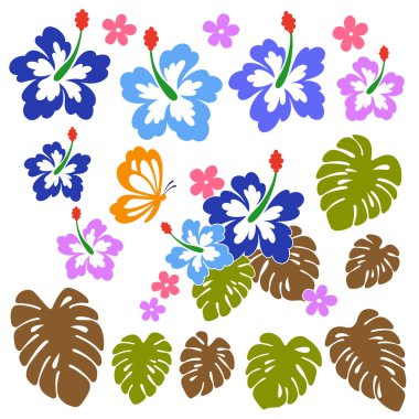 Hibiscus çiçek illüstrasyon, tasarlamak için ebegümeci çekti, bir vektör çalışma,