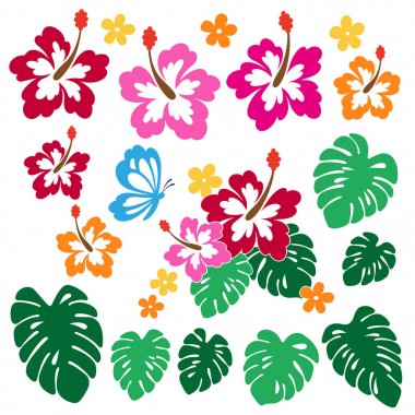 Hibiscus çiçek illüstrasyon, tasarlamak için ebegümeci çekti, bir vektör çalışma,