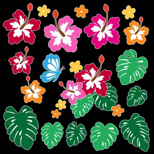 Εικονογράφηση Λουλούδι Ιβίσκου Επέστησα Hibiscus Για Σχεδιασμό Είναι Ένα Έργο — Διανυσματικό Αρχείο