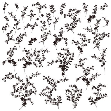 Güzel bir çiçeğin vektör çizim materyali,