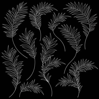 Güzel tropikal bitki arkaplan çizimi malzemesi, bir vektör işi.,