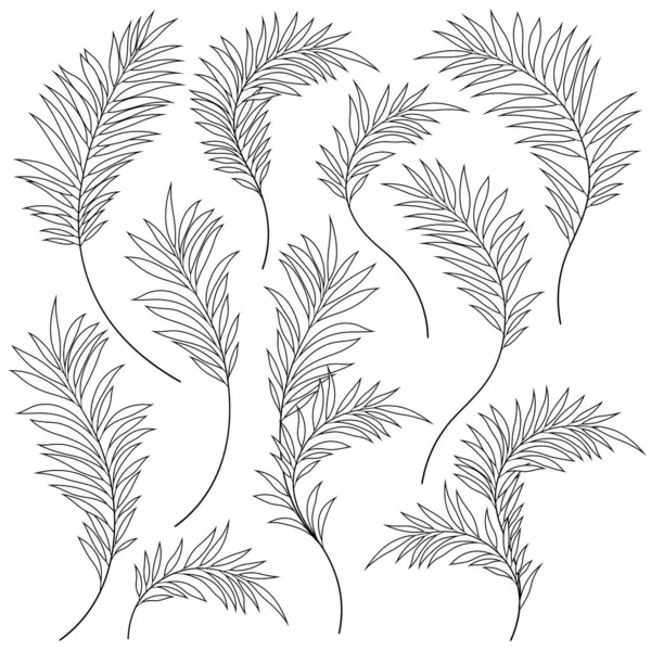 Красивый Материал Иллюстрации Тропических Растений Векторная Работа — стоковый вектор