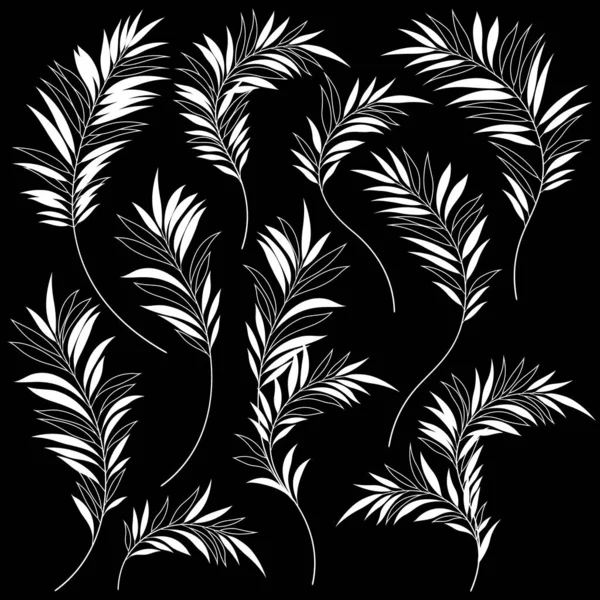 Belle Matière Illustration Fond Plante Tropicale Est Travail Vectoriel — Image vectorielle