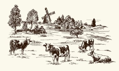 İnekler çayırda otluyor. El çizimi illüstrasyon.