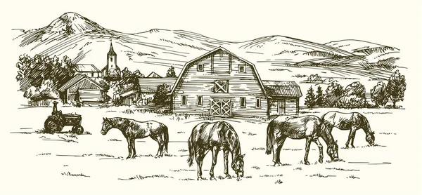 Лошади пасутся на лугу. Ручная иллюстрация . — стоковый вектор
