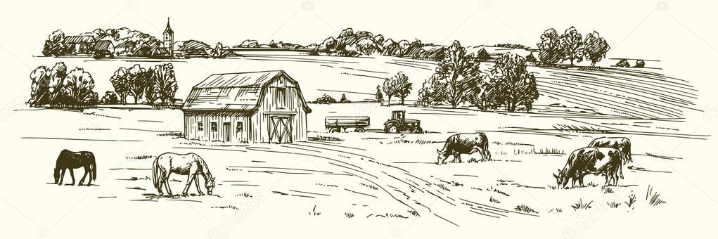 Cows and horses grazing on meadow. Hand drawn illustration.