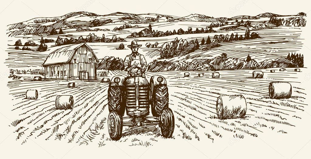 Tractor collecting haystack in the field. Hand drawn vector illu