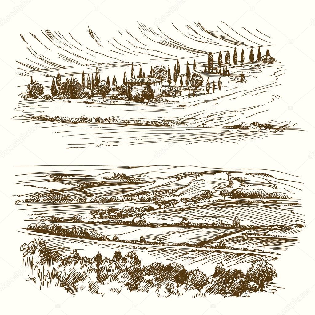 Vineyard. Agricultural landscape. Hand drawn collection.
